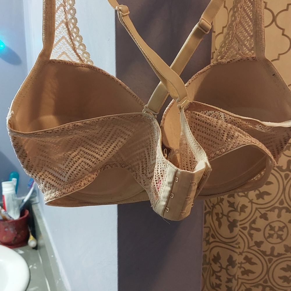 38/C bra
